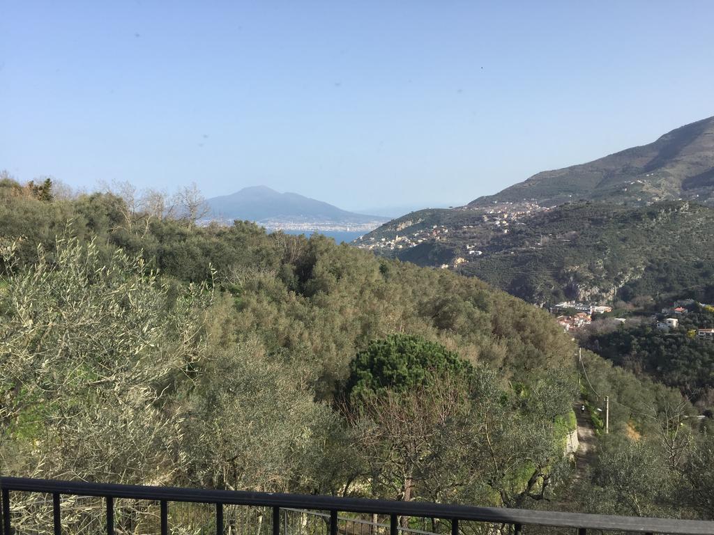 הוילה ויקו אקוונסה Il Casale Del Mirto מראה חיצוני תמונה