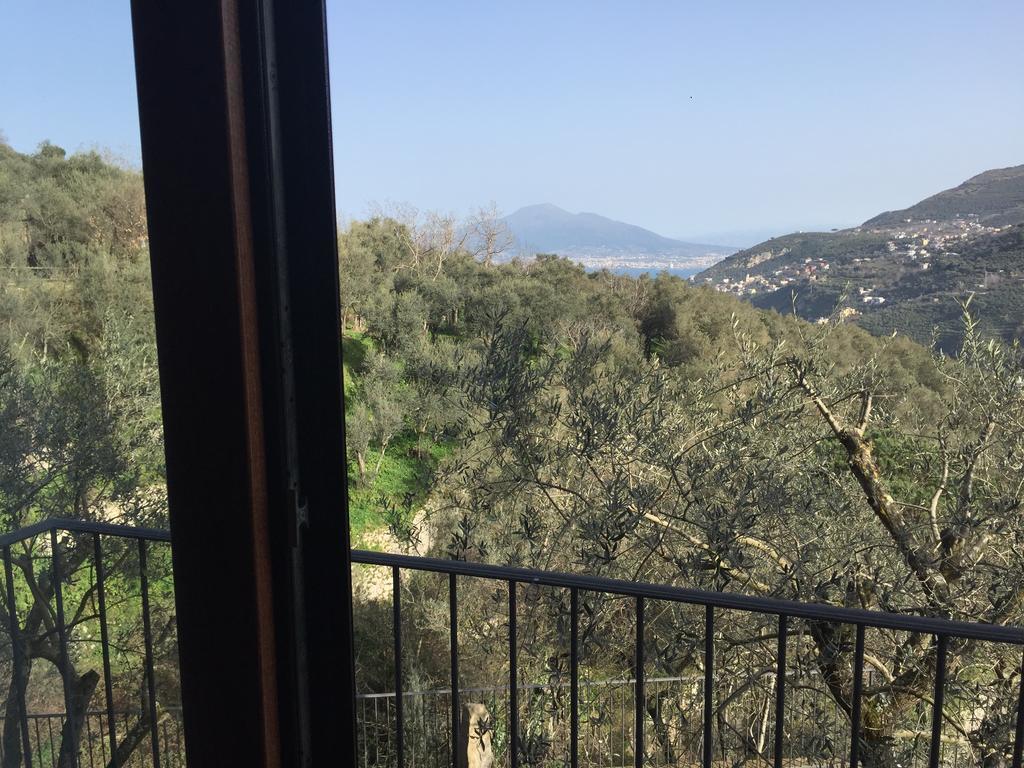 הוילה ויקו אקוונסה Il Casale Del Mirto מראה חיצוני תמונה